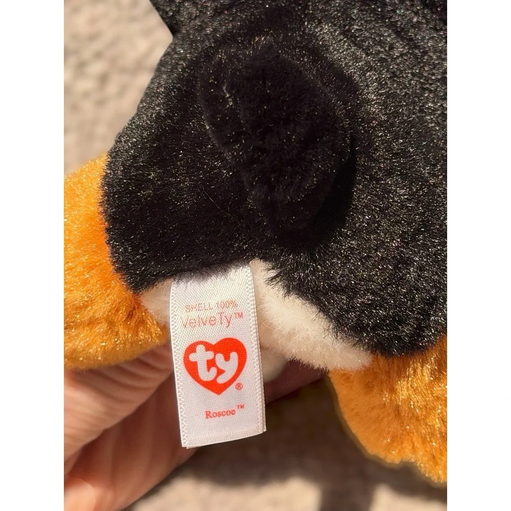 Ty Beanie Baby - ROSCOE the Bernese Mountain Dog (6 Inch) NEW MWMTs Stuffed Toy